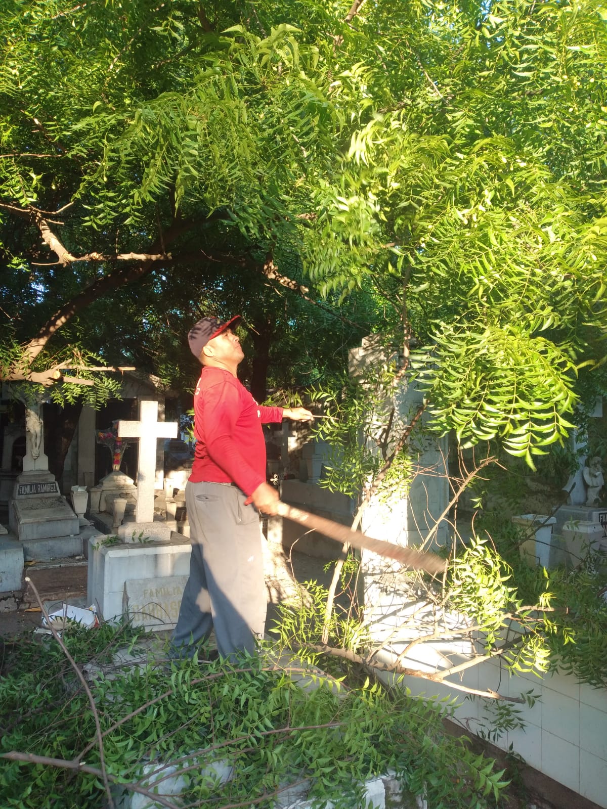 WhatsApp Image 2021-10-11 at 2.55.51 PM (1)