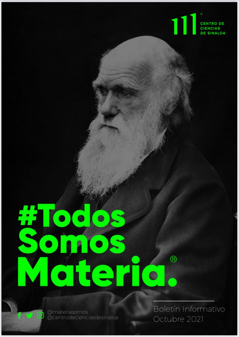 WhatsApp Image 2021-10-11 at 9.56.32 AM