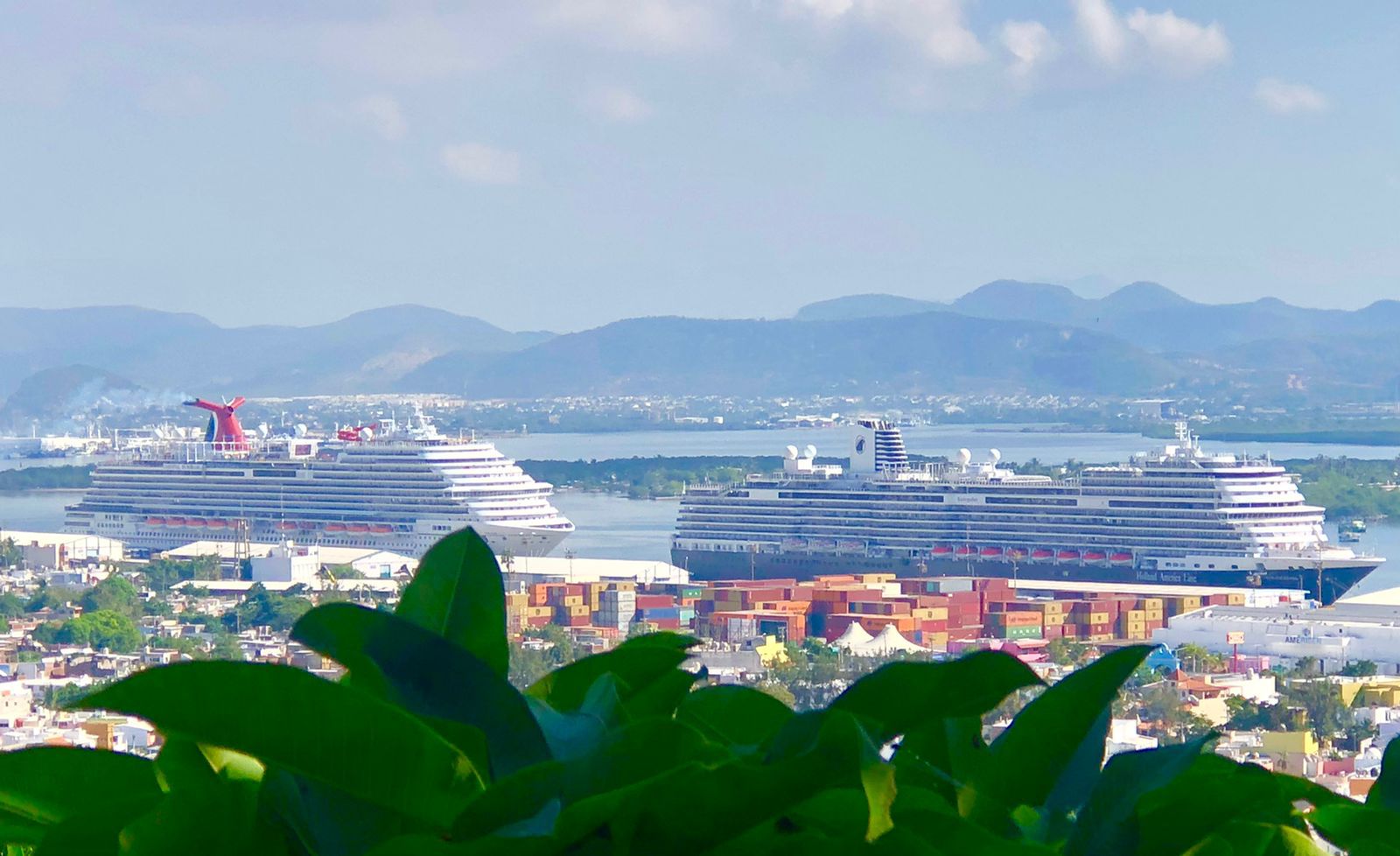 WhatsApp Image 2022-01-17 at 1.25.41 PM