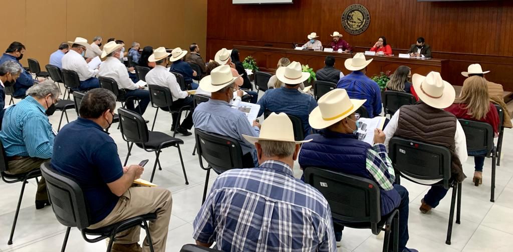 WhatsApp Image 2022-01-21 at 5.53.20 PM