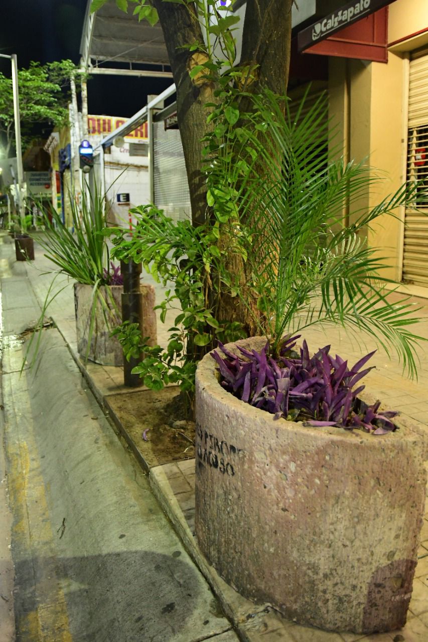 IMG-20220618-WA0001