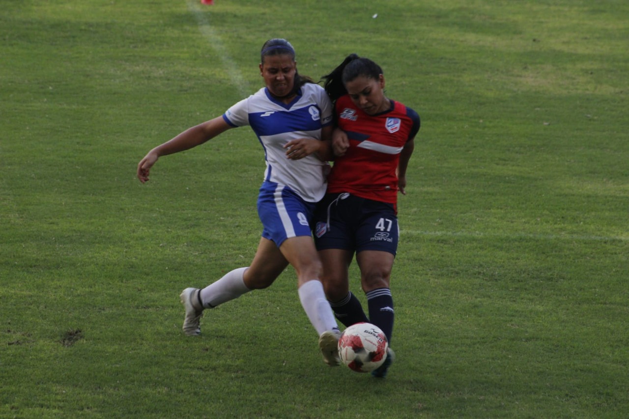 IMG-20220925-WA0013