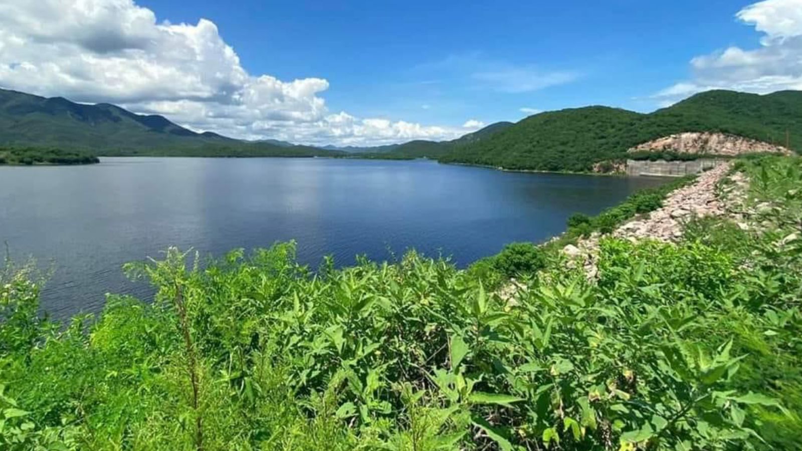 WhatsApp Image 2022-09-01 at 10.32.36 AM