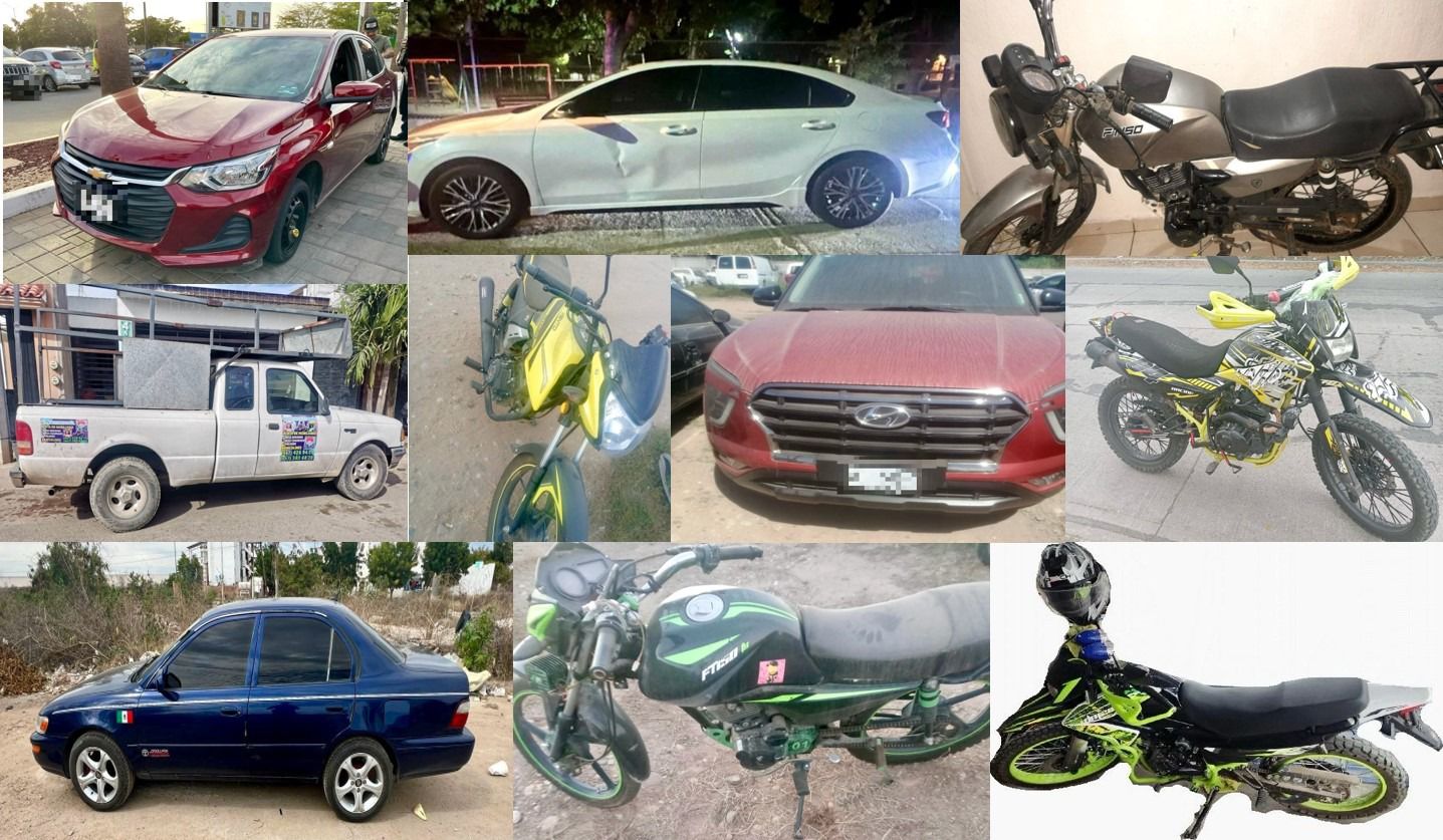 WhatsApp Image 2024-03-11 at 1.33.05 PM
