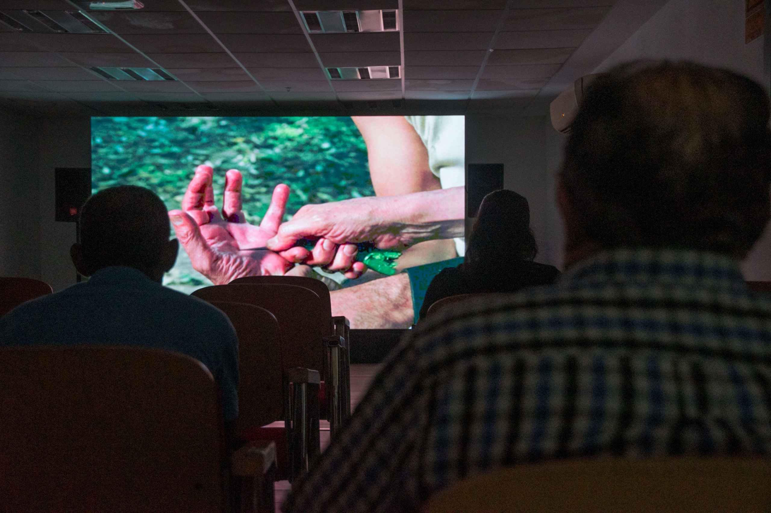 26094c24-5955-411c-905e-832e7e57bde7