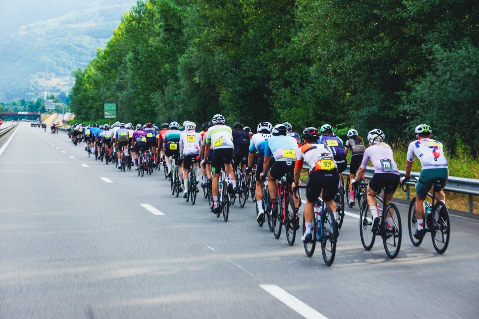 f97a6308-6bfb-431a-8d65-f3cbb3863258