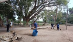 Realizan jornada de limpieza en la Laguna de Canachi para recibir a visitantes en Semana Santa