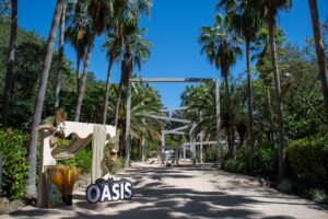Inicia el Festival Consciente OASIS en el Jardín Botánico de Culiacán
