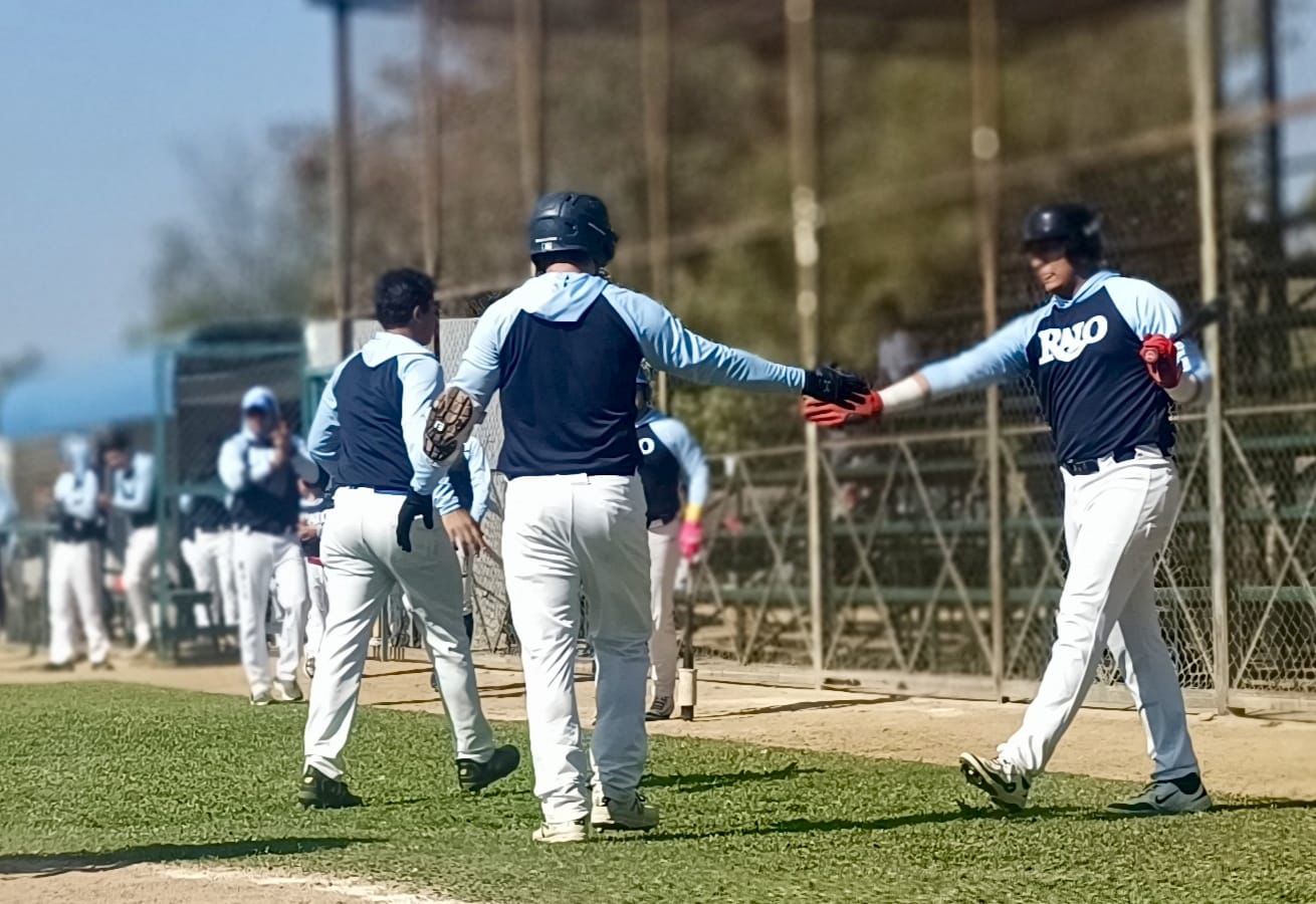 IMG-20260323-WA0011(1)