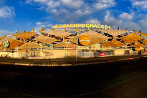 ¿Regresan los Dorados?