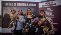 Culiacán da un paso histórico: Juan de Dios Gámez coloca primera piedra de la Unidad de Bienestar Animal