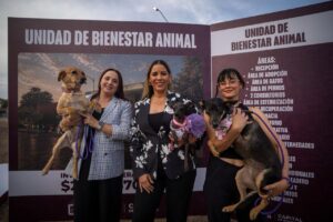 Culiacán da un paso histórico: Juan de Dios Gámez coloca primera piedra de la Unidad de Bienestar Animal