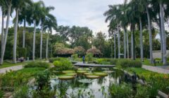 Gobierno estatal refuerza acciones para mejorar el Jardín Botánico y el Parque Ecológico de Culiacán