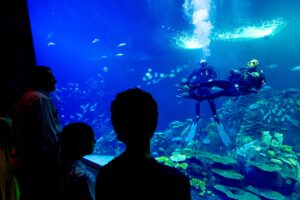 Gran Acuario de Mazatlán, ¡un lugar para conocer!