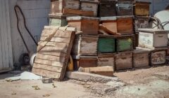 Atiende PC Culiacán emergencia por ataque de abejas en la colonia Pemex