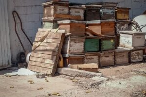Atiende PC Culiacán emergencia por ataque de abejas en la colonia Pemex