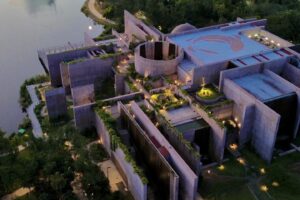Gran Acuario Mazatlán celebra 3 años: 1,000 rescates y casi 2.3 millones de exploradores