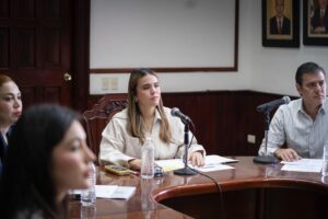 Cabildo aprueba recepción de terrenos como donación para áreas verdes
