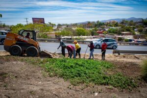 Continúan jornadas de limpieza integral en espacios públicos de Culiacán