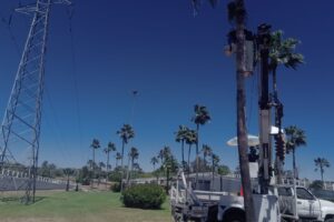 Continúan acciones de mantenimiento urbano con poda de palmeras en el Distribuidor Vial Humaya
